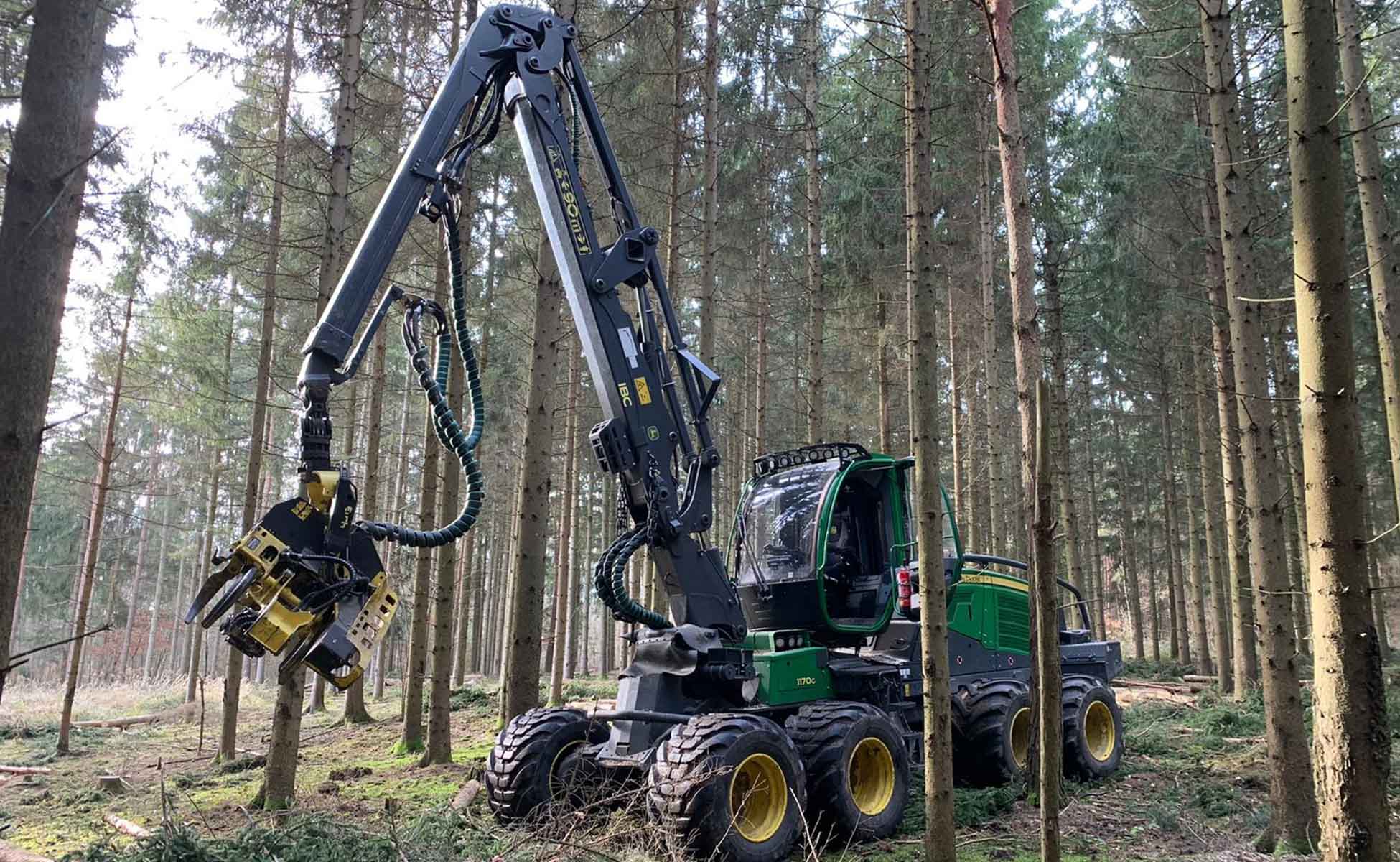 Harvester 1170G bei Medl Forstverwaltung im Einsatz