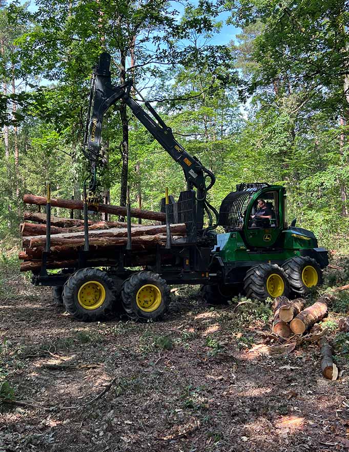 FORWARDER zur achtsamen Verbringung der Holzstämme